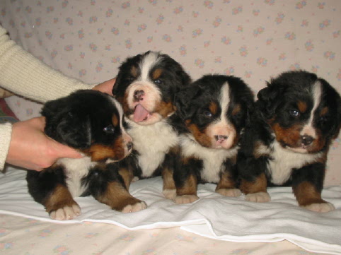 1 mois